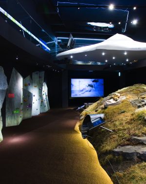 Murmeltierausstellung Nationalpark Hohe Tauern