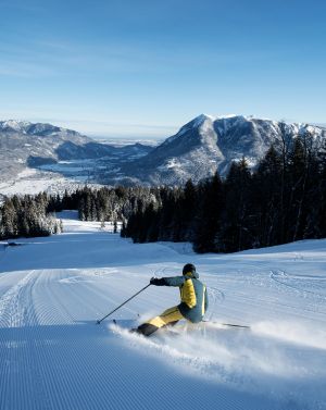 MF 2019 0213 BZB Winter 0110