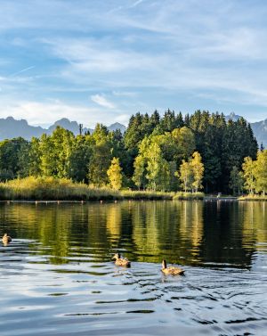 Landschaft Natur Wasser Panorama Schwarzsee Herbst Emotion (c) Kitzbuehel Tourismus (6)