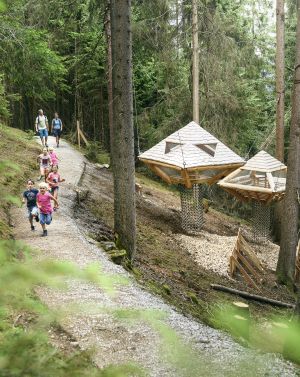 Der schön angelegter Weg durch den Wald führt deine Familie und Dich über den Baumhausweg. Ein Ausflugsziel für die ganze Familie - mit Spaß und Leichtigkeit die Natur ein Stück besser kennenlernen.